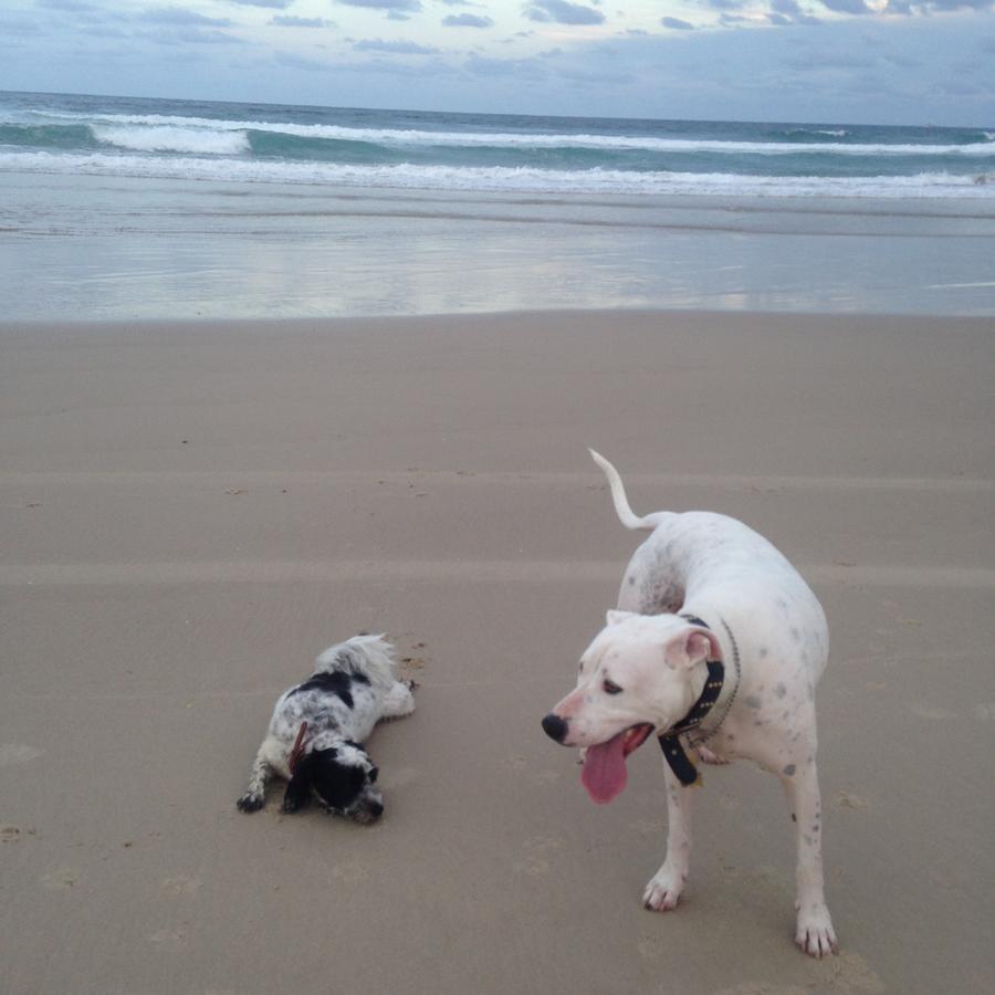 Clarence Head Caravan Park Iluka Luaran gambar